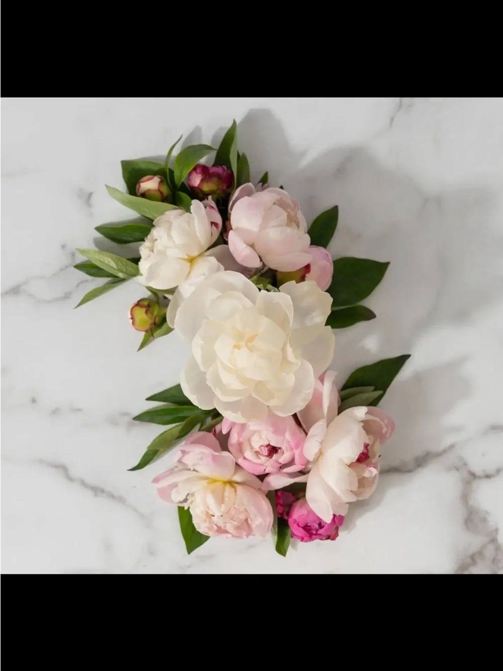 Greenleaf Peony Bloom Reed Diffuser - Cream Peony